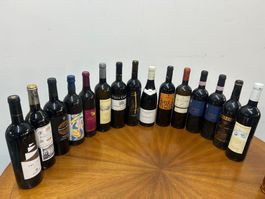 15 Flaschen Rotwein aus aller Welt