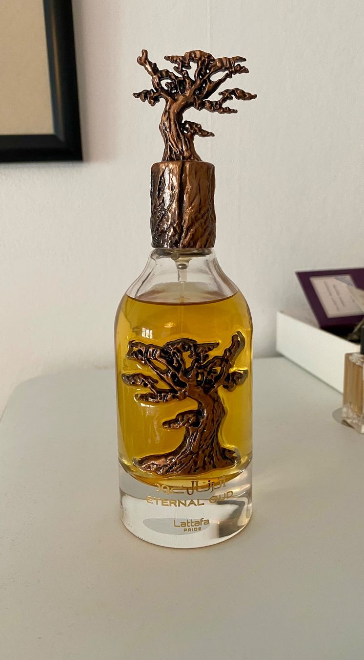 Lattafa Parfum & Eau de Toilette: Lattafa Eternal Oud 100ml – Gebraucht aus Genève von inn_n9kf