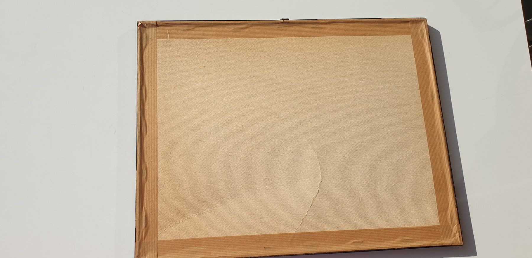 Grafica & Litografie: Fritz Hug Lithographie Tiger – Usato da Emmen venduto da magelan 4