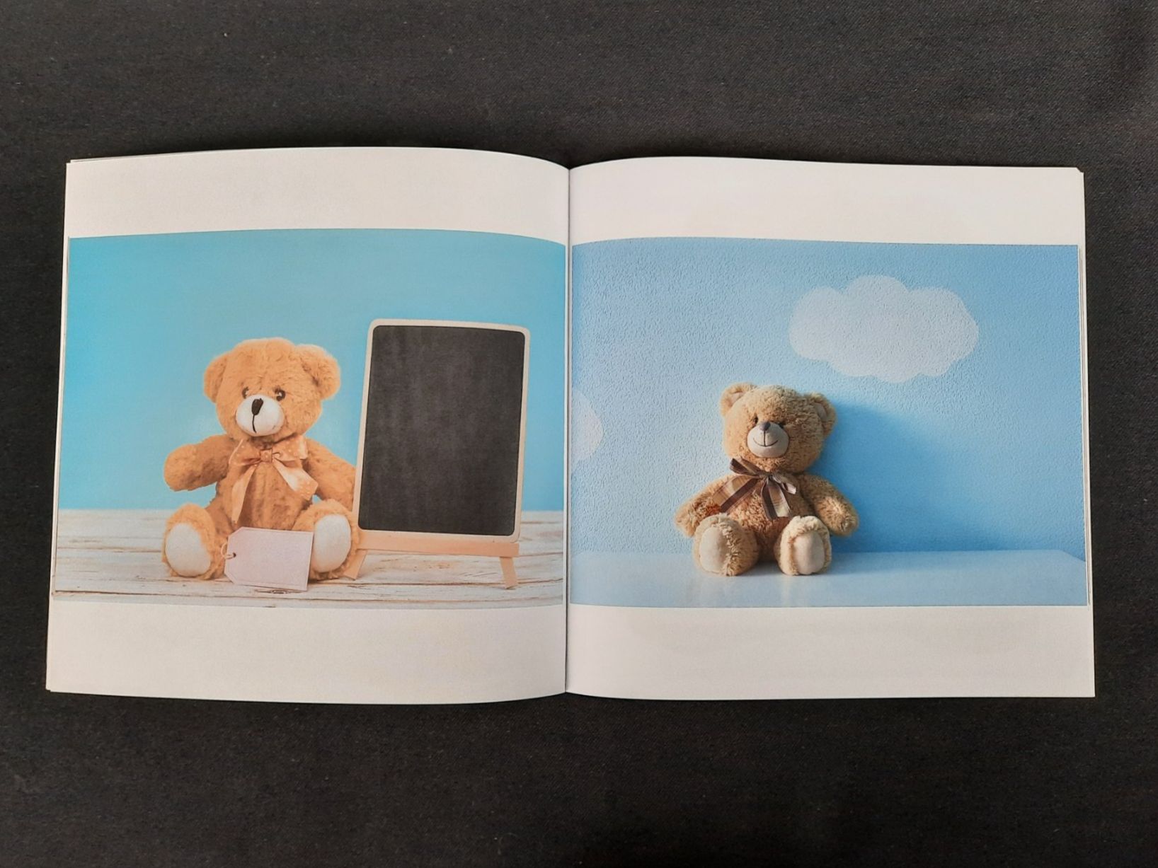 Libri: Ein Fotobuch "Der Teddybär" – Nuovo (secondo la descrizione) da Beinwil am See venduto da Restwert_Beinwil 3