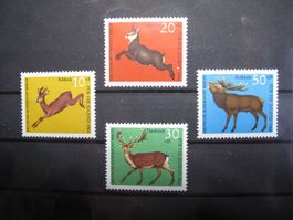 Berlin 1966 Hochwild **