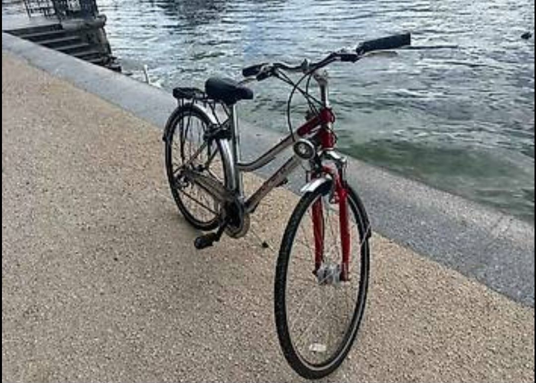 Leopard Biciclette: Leopard Trekking Cat  Gebraucht zu verkaufen – Nuovo (secondo la descrizione) da Luzern venduto da goz_m72b