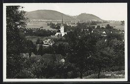 AK Therwil, Panorama mit Kirche