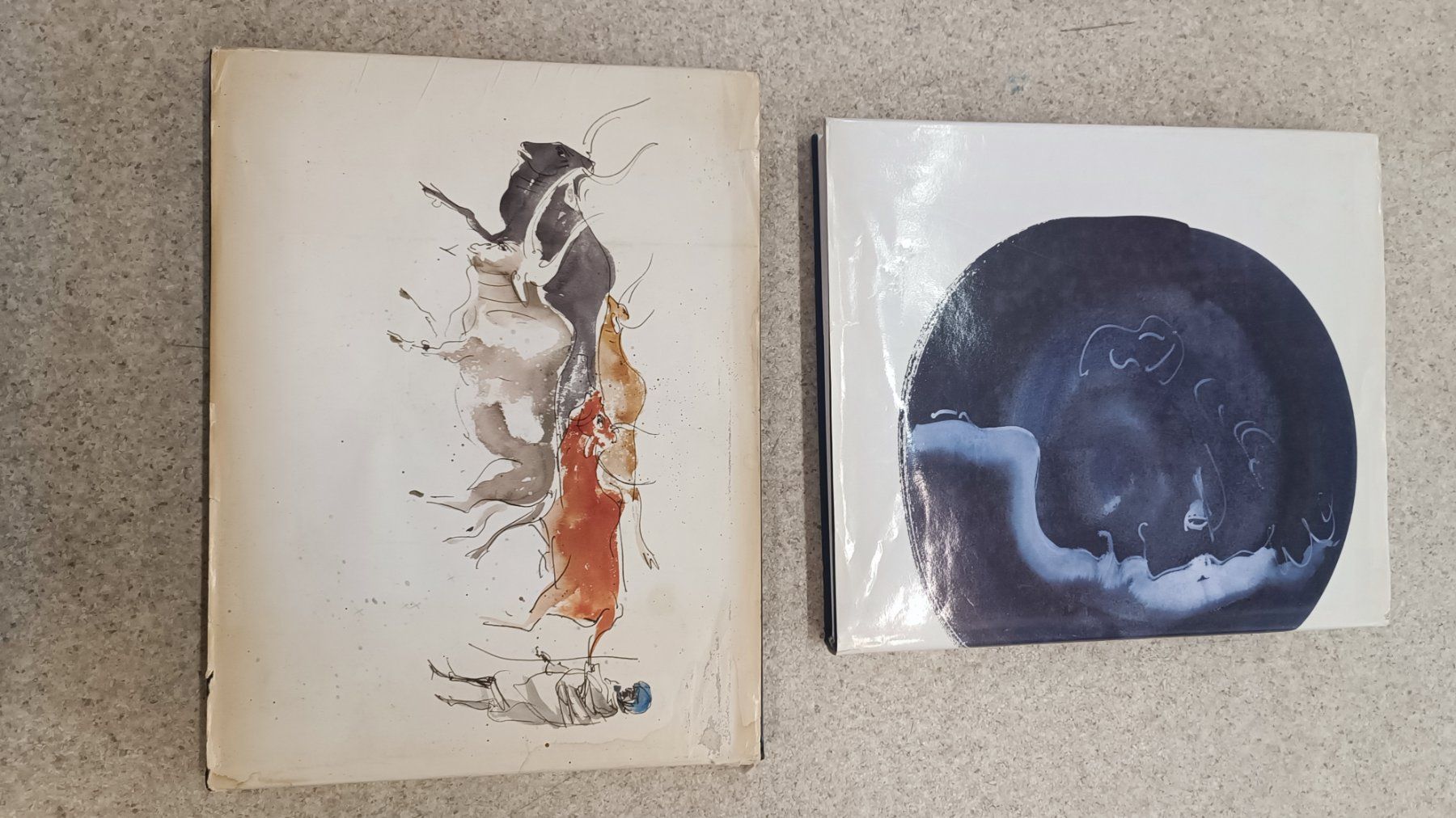 Libri: Hans Erni Buchpaket "Afrika" und "Die Plakate" – Usato da Reiden venduto da Zofi-Brocki 3