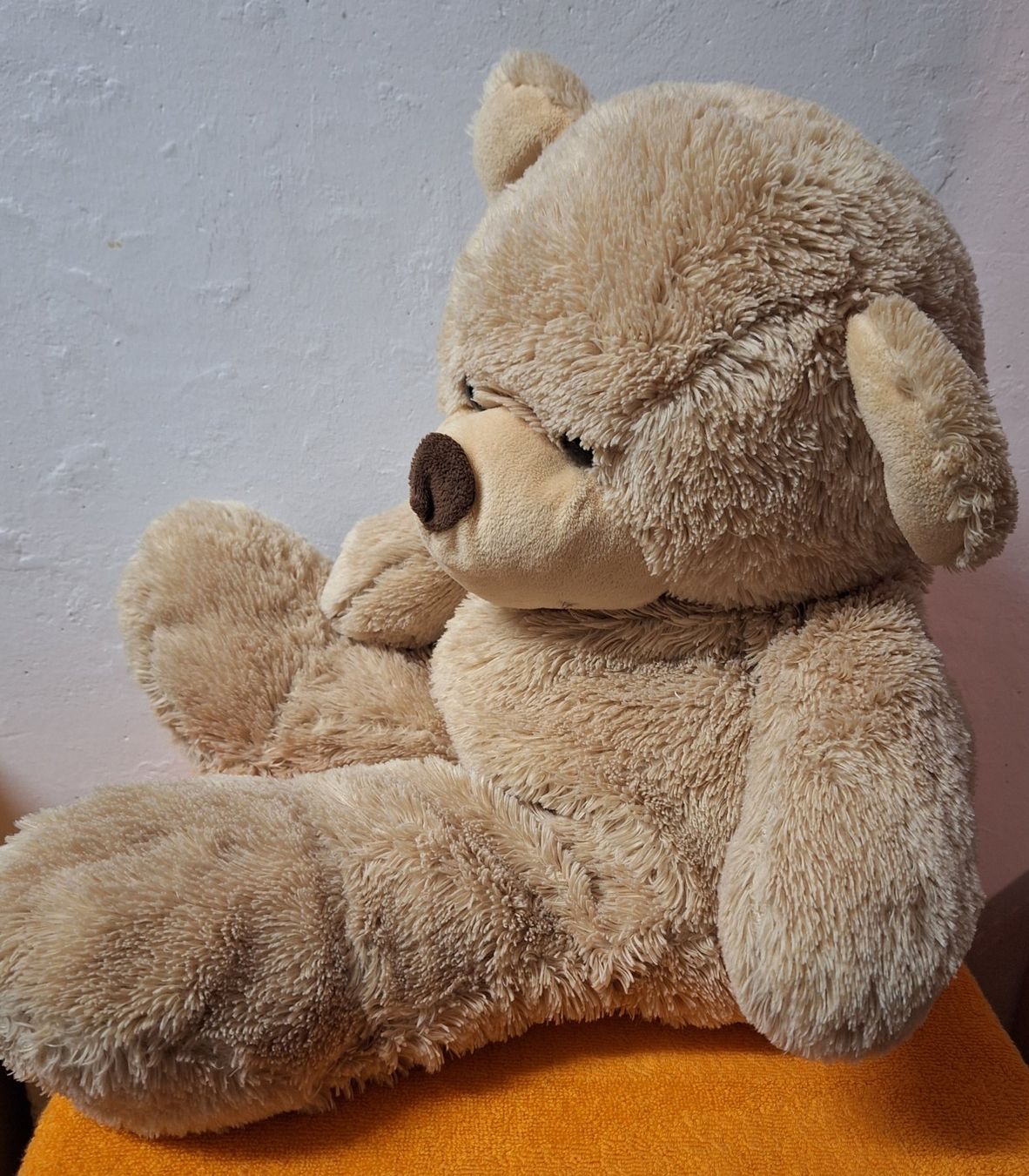 Giocattoli: Kuschel Bär, 63cm beige – Usato da Muri AG venduto da Edlerweiss 4