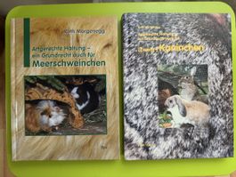 Artgerechte Haltung für Meerschweinchen und Kaninchen
