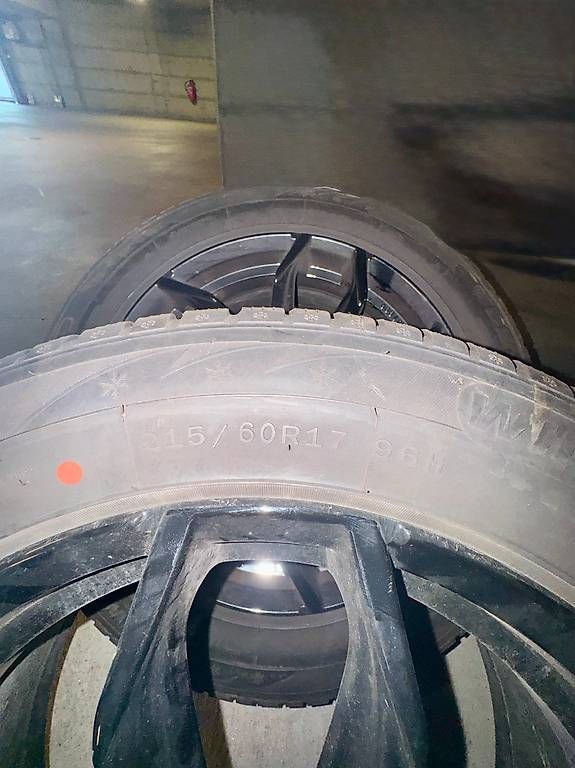 Pneumatici & Ruote complete: Roues hiver – Usato da Duillier venduto da Jim69 1