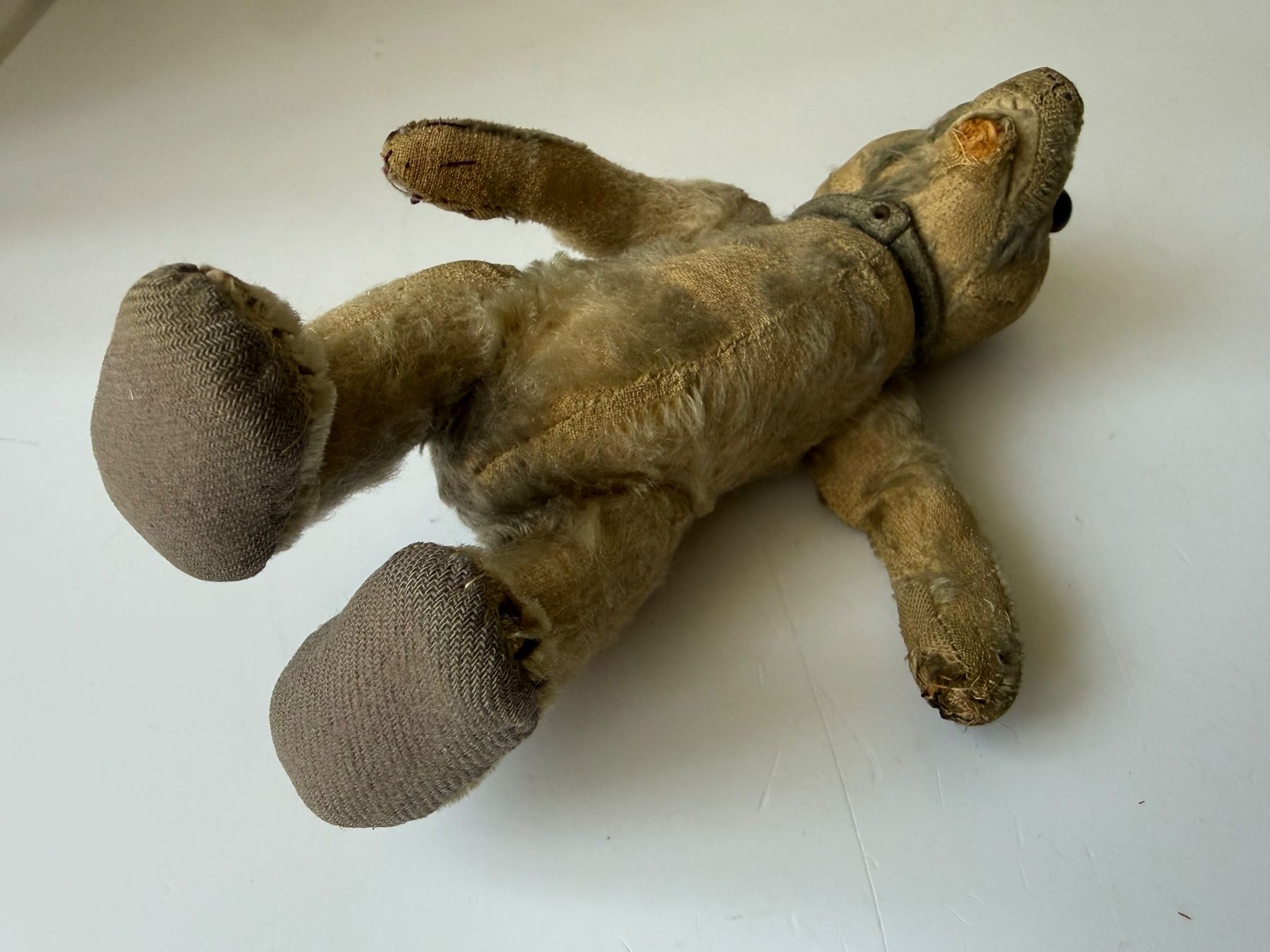 Giocattoli: Antiker Teddybär – Usato da Zwingen venduto da moje1 1