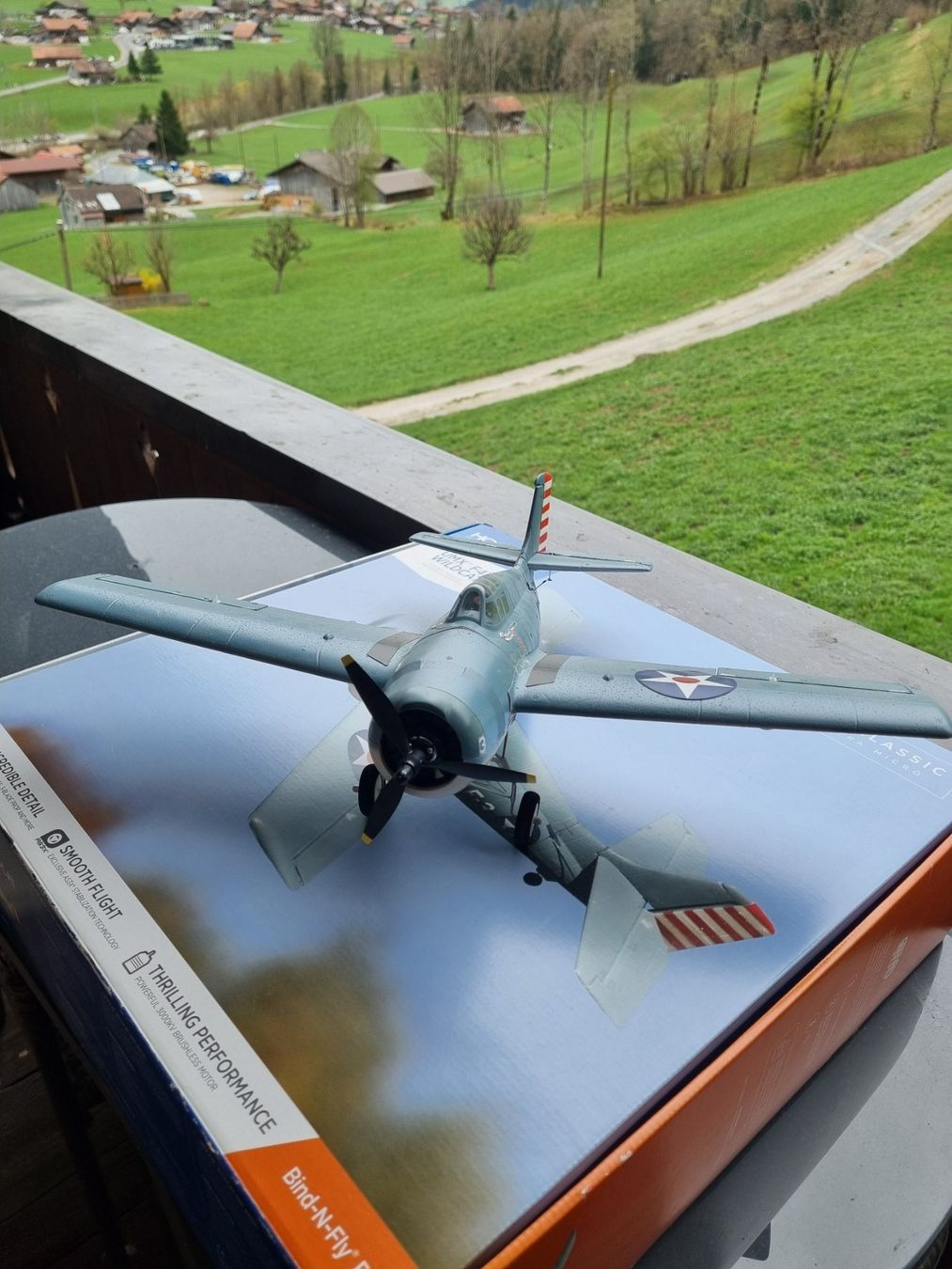 E-Flite Modellismo RC: UMX- Modellflugzeug Wildcat F4F – Difettoso da Blumenstein venduto da mar_9pgj 2