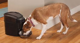 + Programmierbarer Digitaler Futterautomat, 5,6 Liter