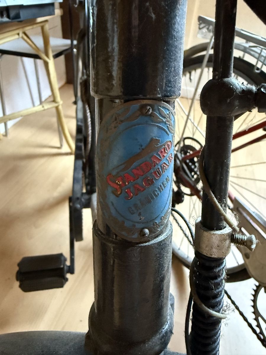 Biciclette: Velo Standard Jaguar – Usato da Opfikon venduto da BananaGio01 2