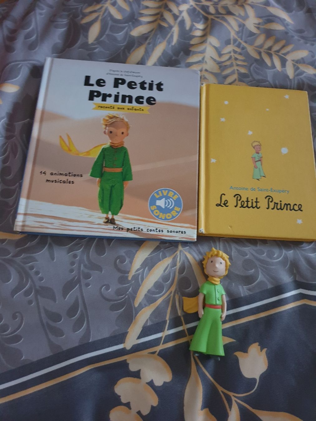 Bücher: Livres Petits Prince – Gebraucht aus Fribourg von mal_8zjh