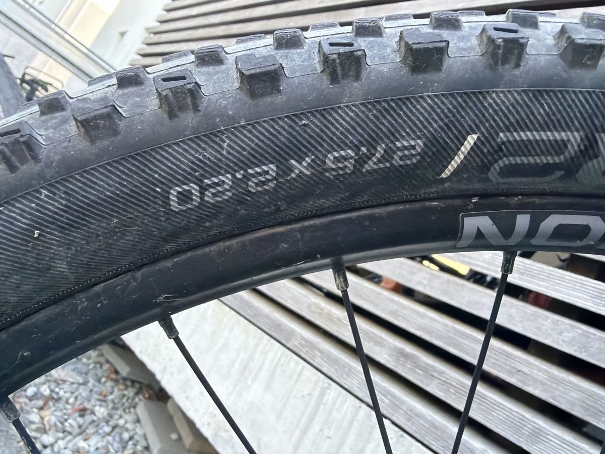 Trek Biciclette: Mädchenfahrrad Trek – Difettoso da Rubigen venduto da Dunjaa 3