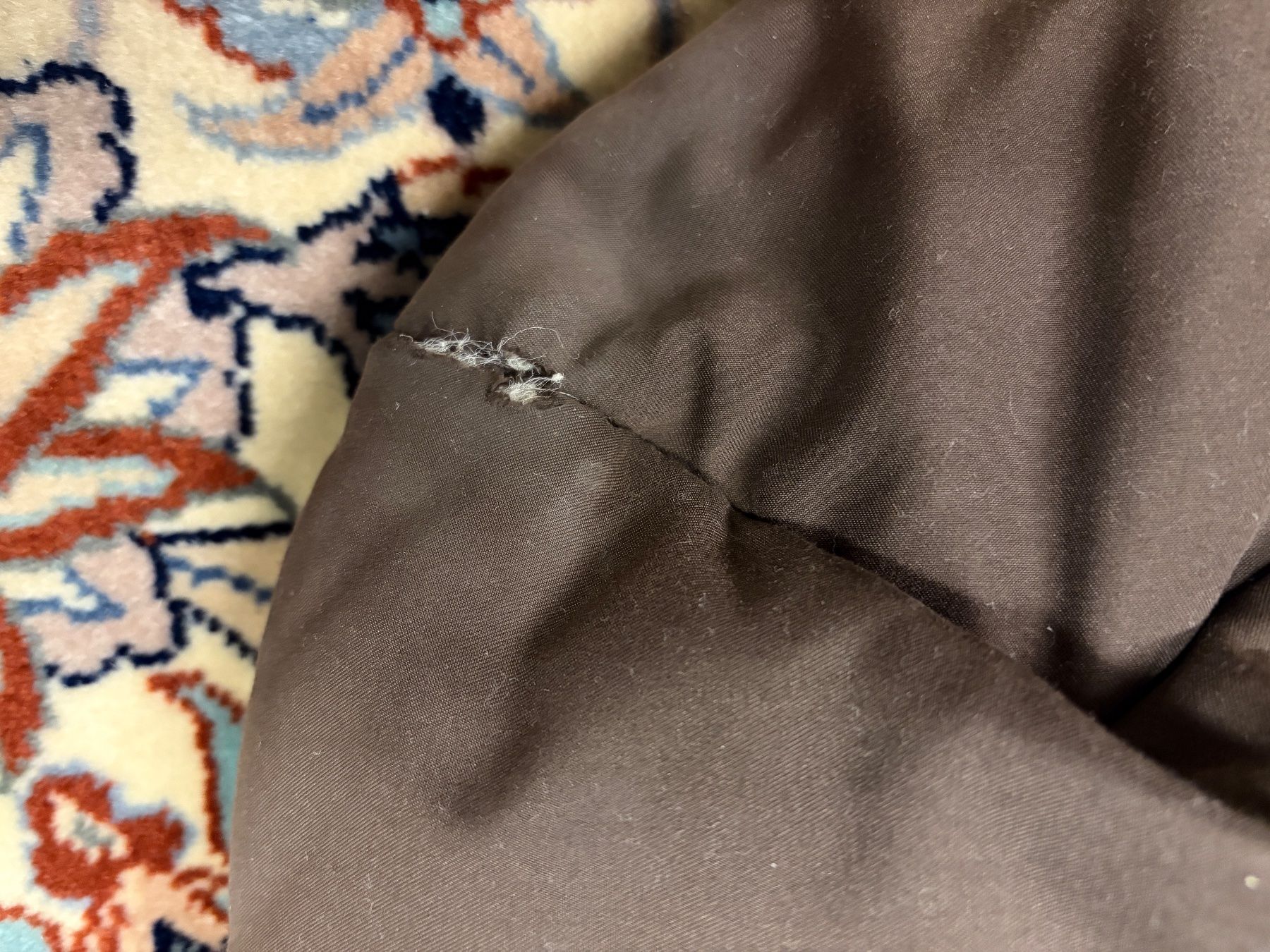 Bugaboo Schlafsäcke: Bugaboo Fusssack dunkelbraun – Gebraucht aus Malters von and_qsx5 1