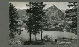 AK sw Amden SG Giregärtli, Wallensee, Mürtschenstock ≈1947