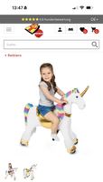 Reittier Regenbogen