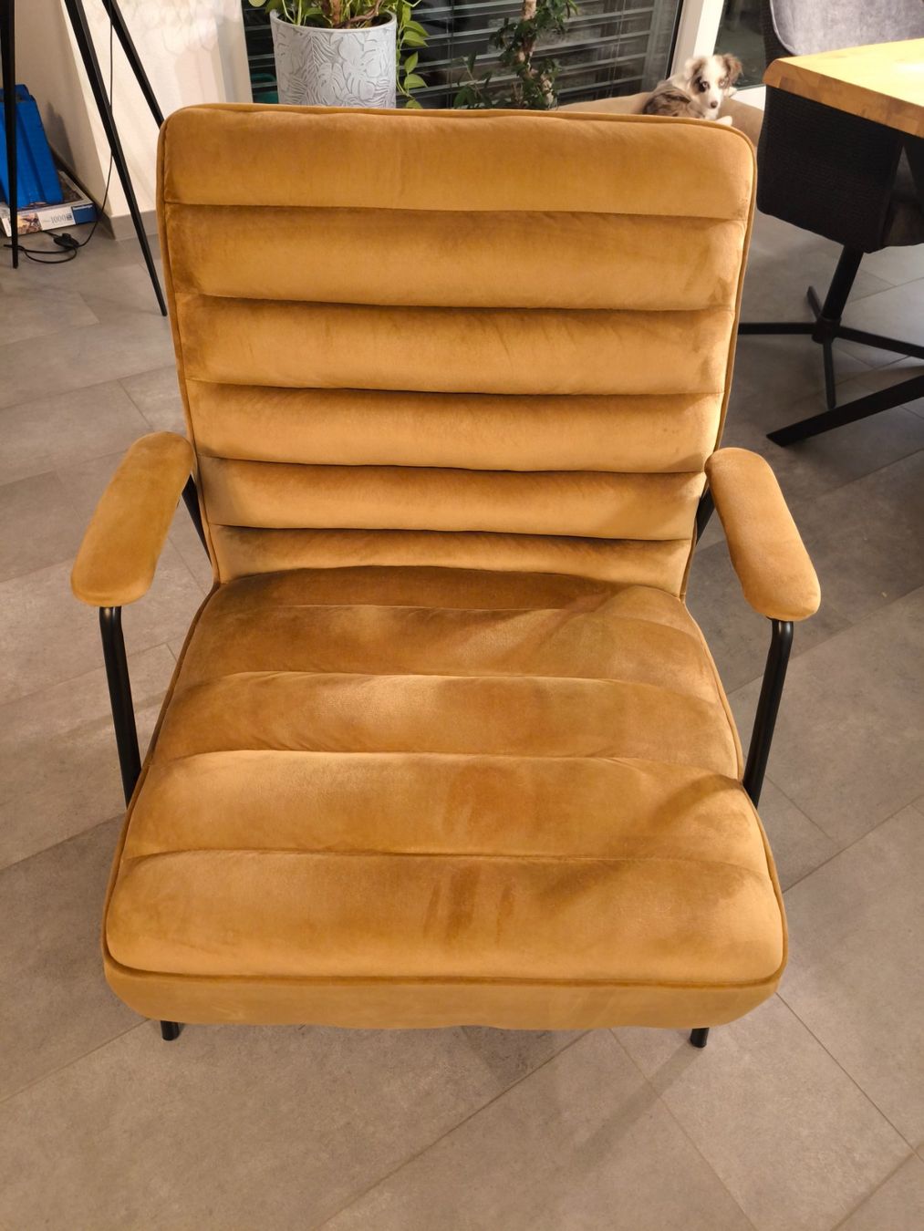 Poltrone: Sessel gold-geb – Usato da Uezwil venduto da fra_6x6h 1
