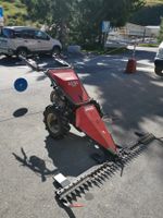 Motormäher  AM 20