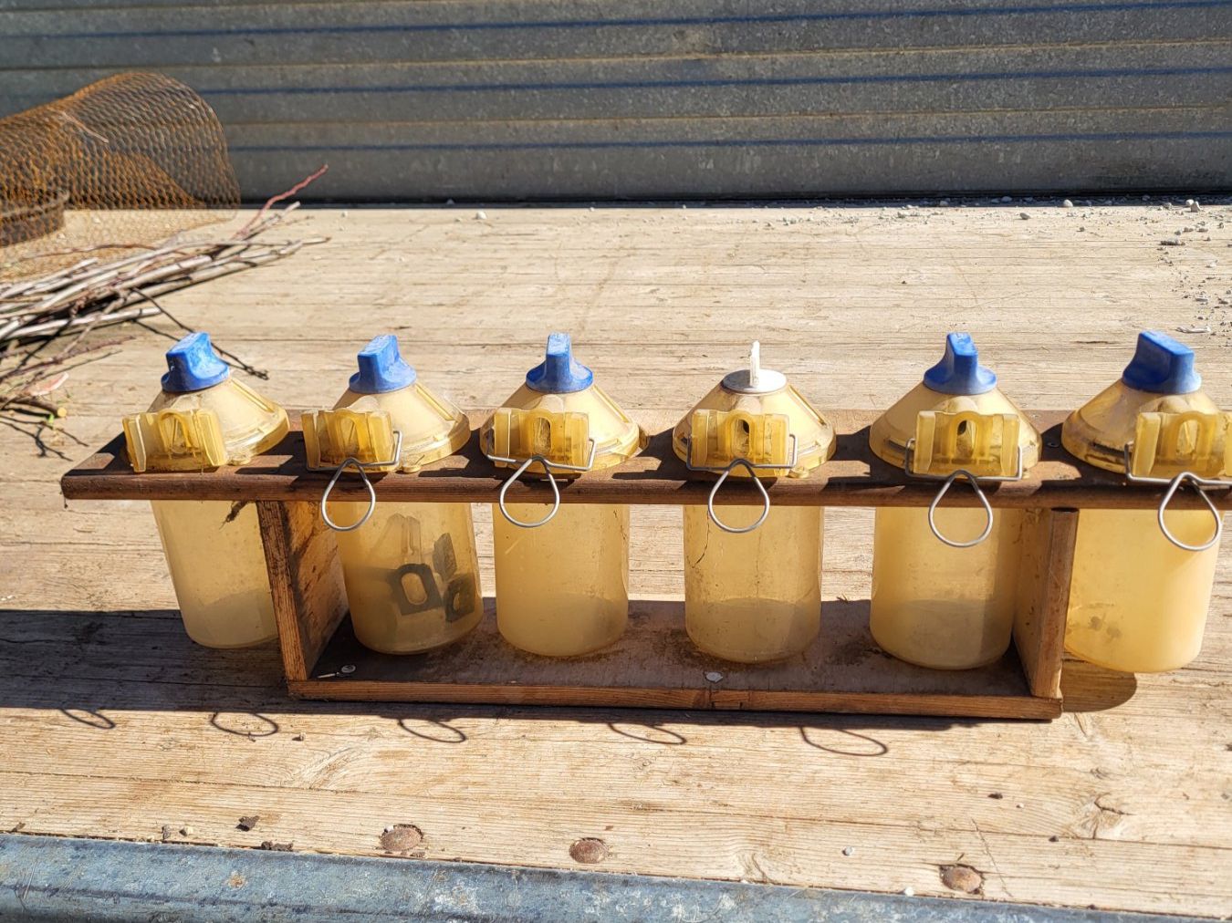 Delaval Misurare: Messbecher zu Melkstand Delaval Alpro – Usato da Belpberg venduto da Ernstw123 2