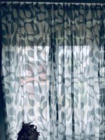 Sommerliche Vorhänge/Gardinen