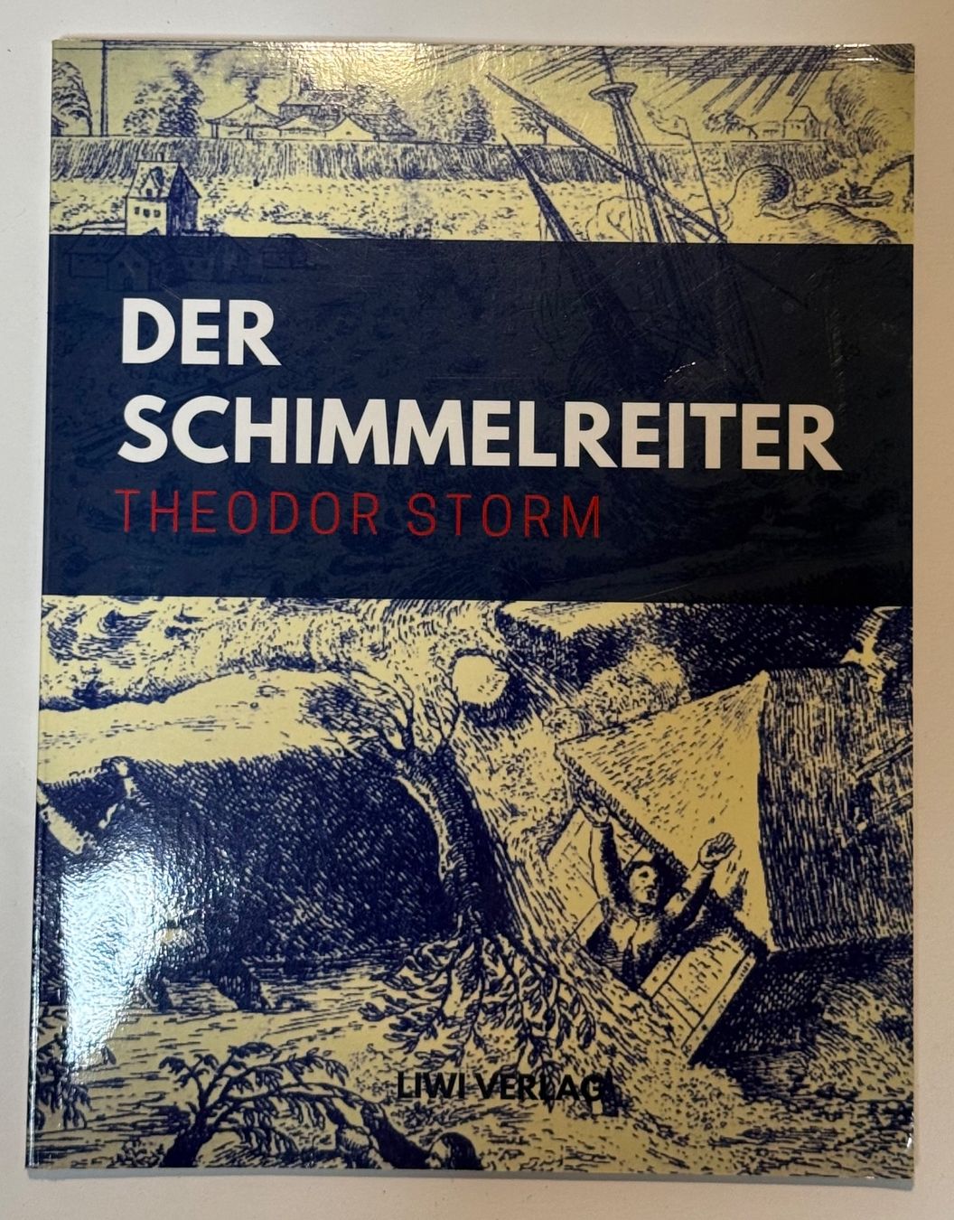 Bücher: Der Schimmelreiter | Theodor Storm – Gebraucht aus Rapperswil SG von Maria_________