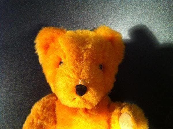 Spielzeuge: alter Teddy – Gebraucht aus Einsiedeln von Brocki59 3