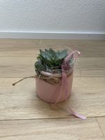 Sukkulente in rosa Keramiktopf, Plastikblumen