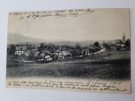 Ansichtskarte Muri b. Bern Friedheim Quartier 1910. R35