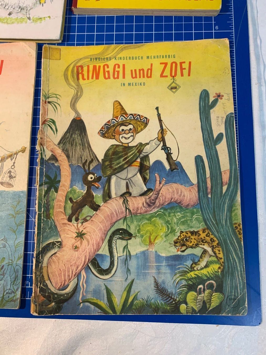 Libri: 2 Kinderbücher Ringgi und Zoffi – Usato da Arch venduto da Seil818