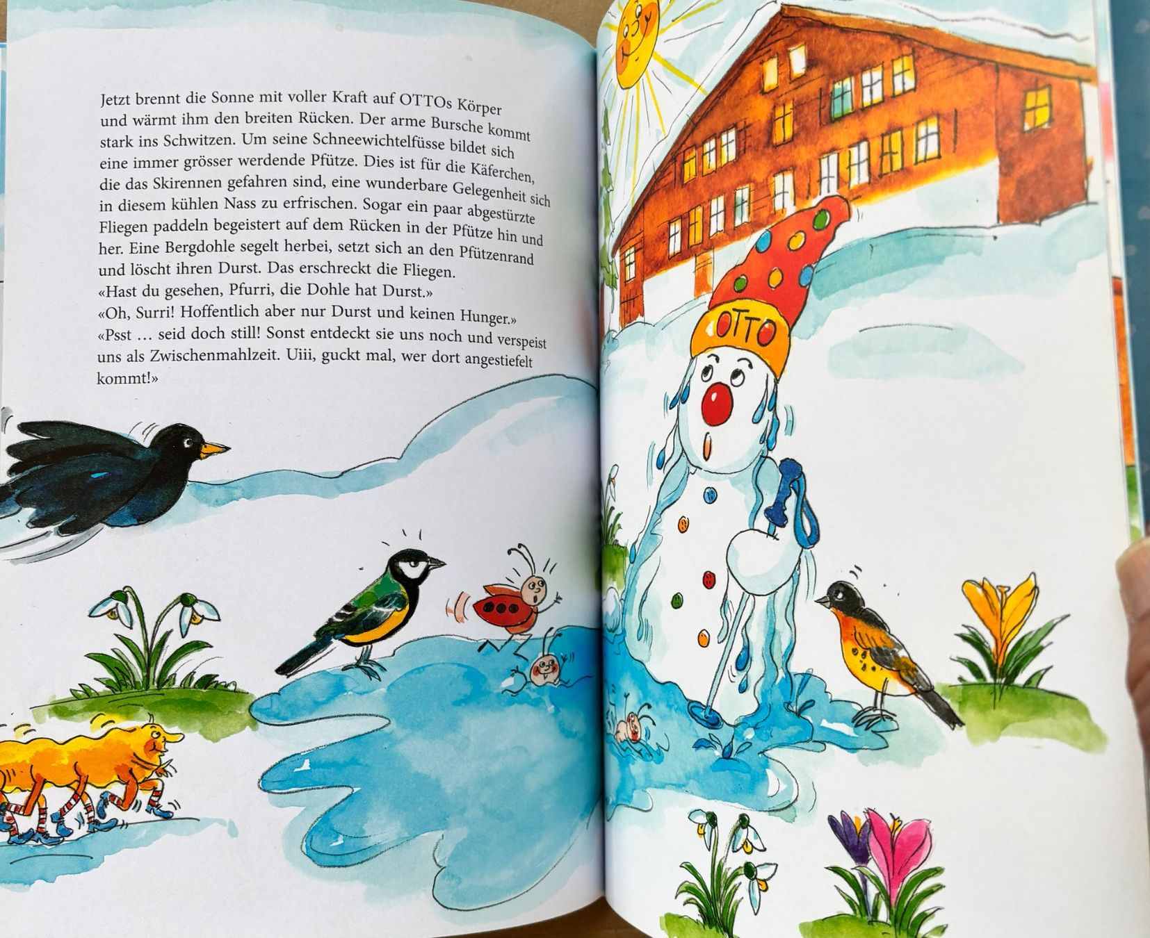 Bücher: Hodel Tosca, Otto der Schneewichtel – Neu (gemäss Beschreibung) aus Sarnen von Livres 6