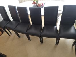 6 Esszimmerstühle Echtleder schwarz gebraucht