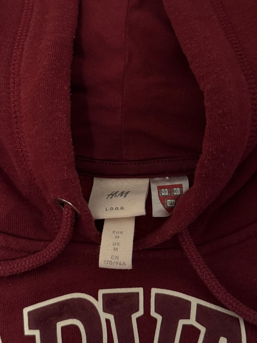 H&M Maglioni & Felpe: Hoodie Harvard, Grösse M – Usato da Haldenstein venduto da ana_b8c7 2