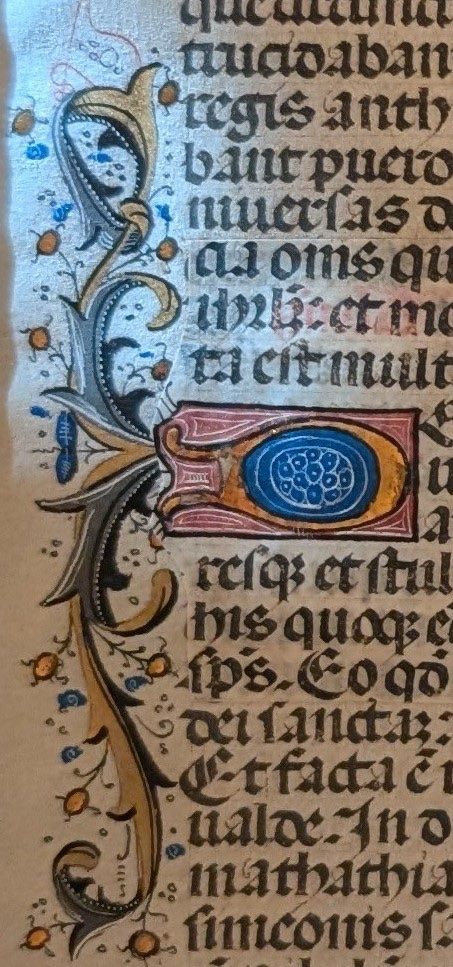 Documenti: Lateinische Schrift auf Pergament m. eindrucksv. Initialien – Usato da Zürich venduto da wme_2brc 5
