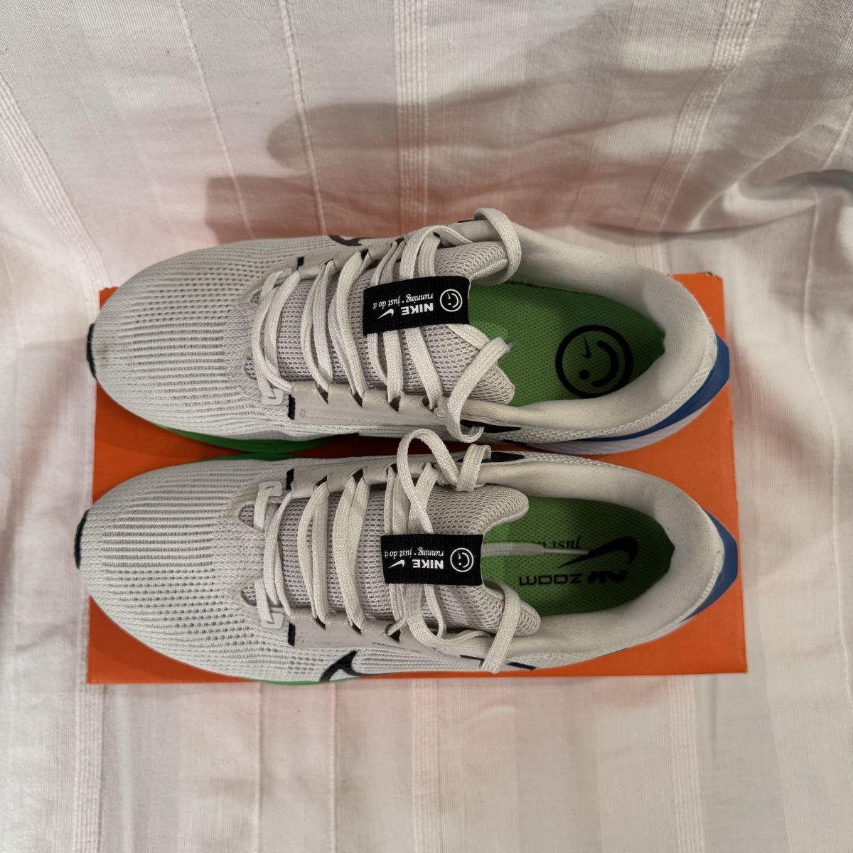 Nike Chaussures hommes: Nike Air Zoom Pegasus 40 – D'occasion à Mönchaltorf par osi_t7tl 1