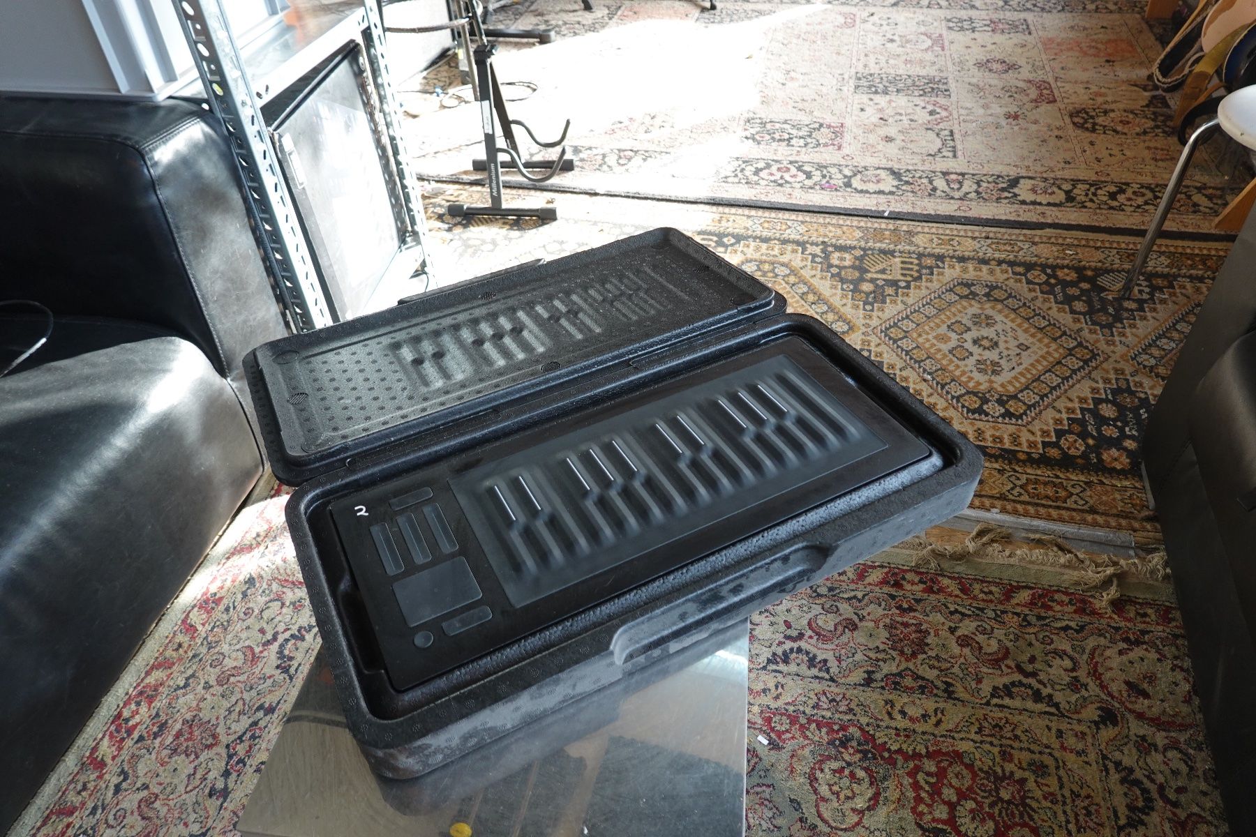 Roli Strumenti musicali: Roli Seaboard Rise 25 – Usato da Zürich venduto da Yannfidel 1