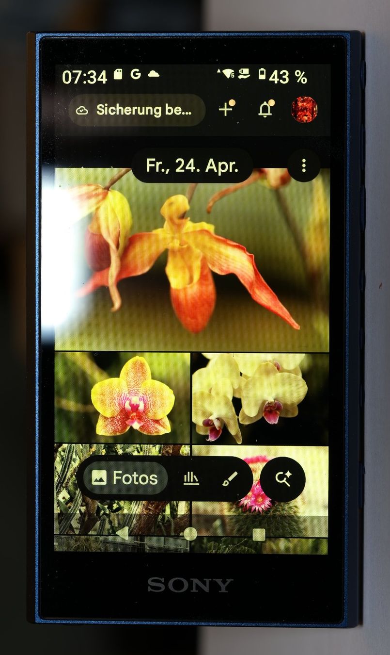 Sony Lettore multimediale portatile: Sony Walkman NW-A306 – Usato da Speicher venduto da Iku 1