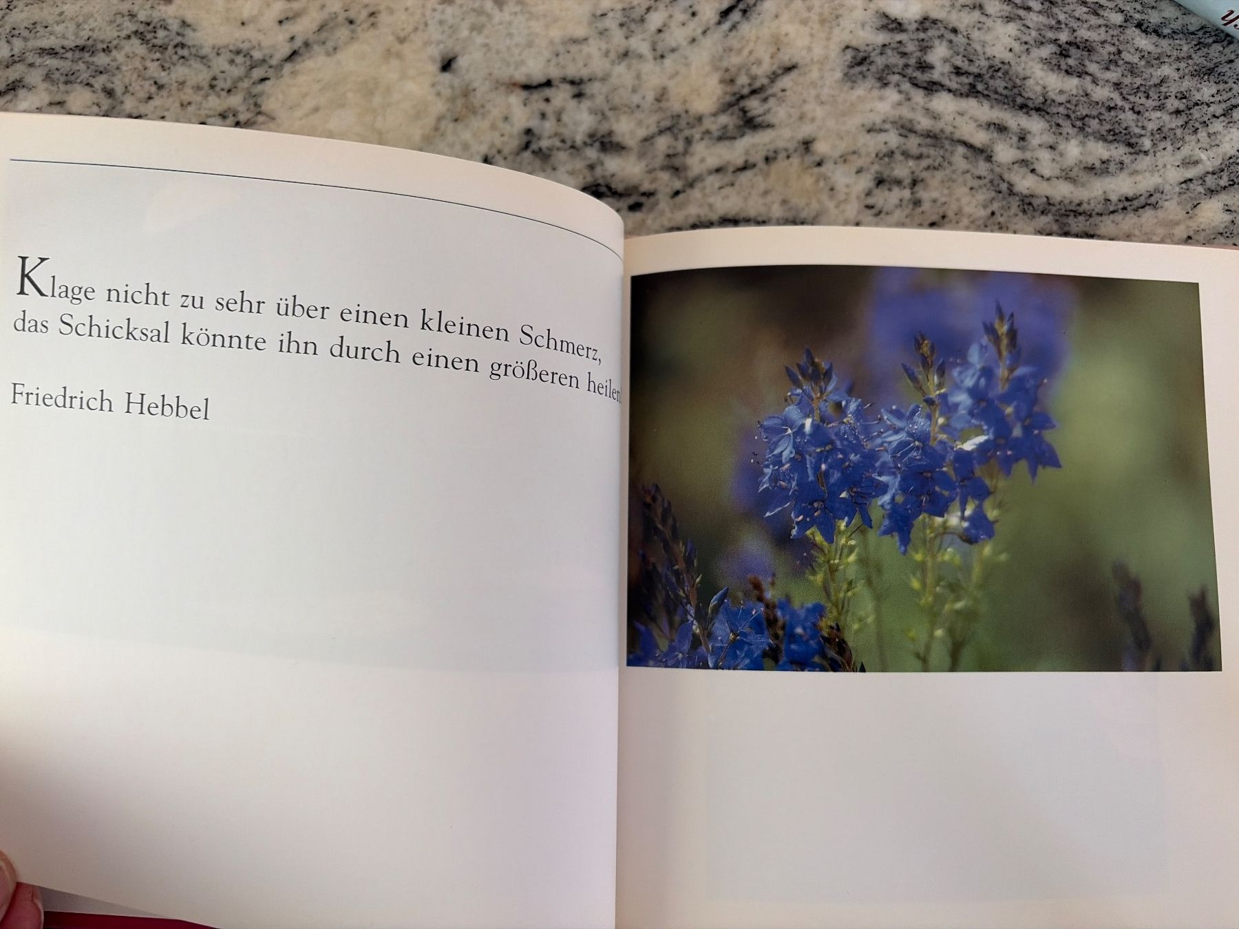 Libri: Buch mit Bildern und Gedanken, ars edition – Nuovo (secondo la descrizione) da Thalwil venduto da Sommerwende 2