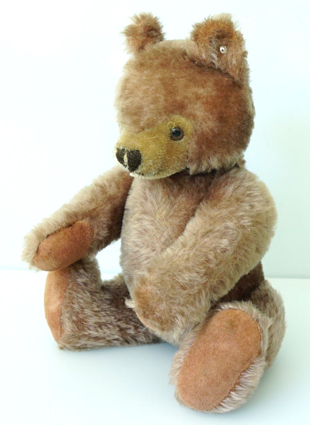 Steiff Giocattoli: Vintage Steiff Teddy, 32cm – Usato da Sissach venduto da glrpmpfk 2