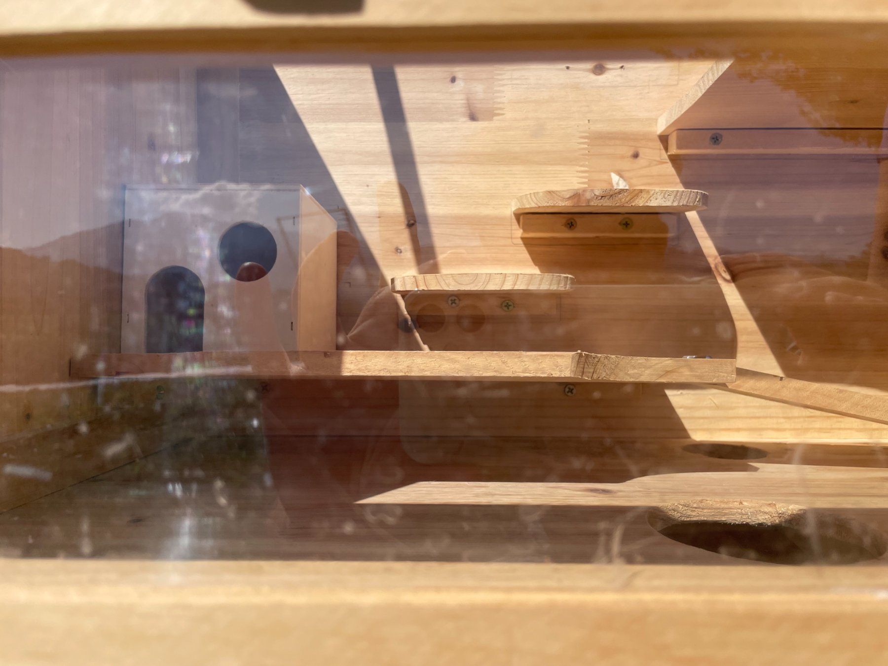 Käfige, Transport & Sicherheit: Hamsterkäfig Holz 120cm lang – Gebraucht aus Meierskappel von Hit123 7
