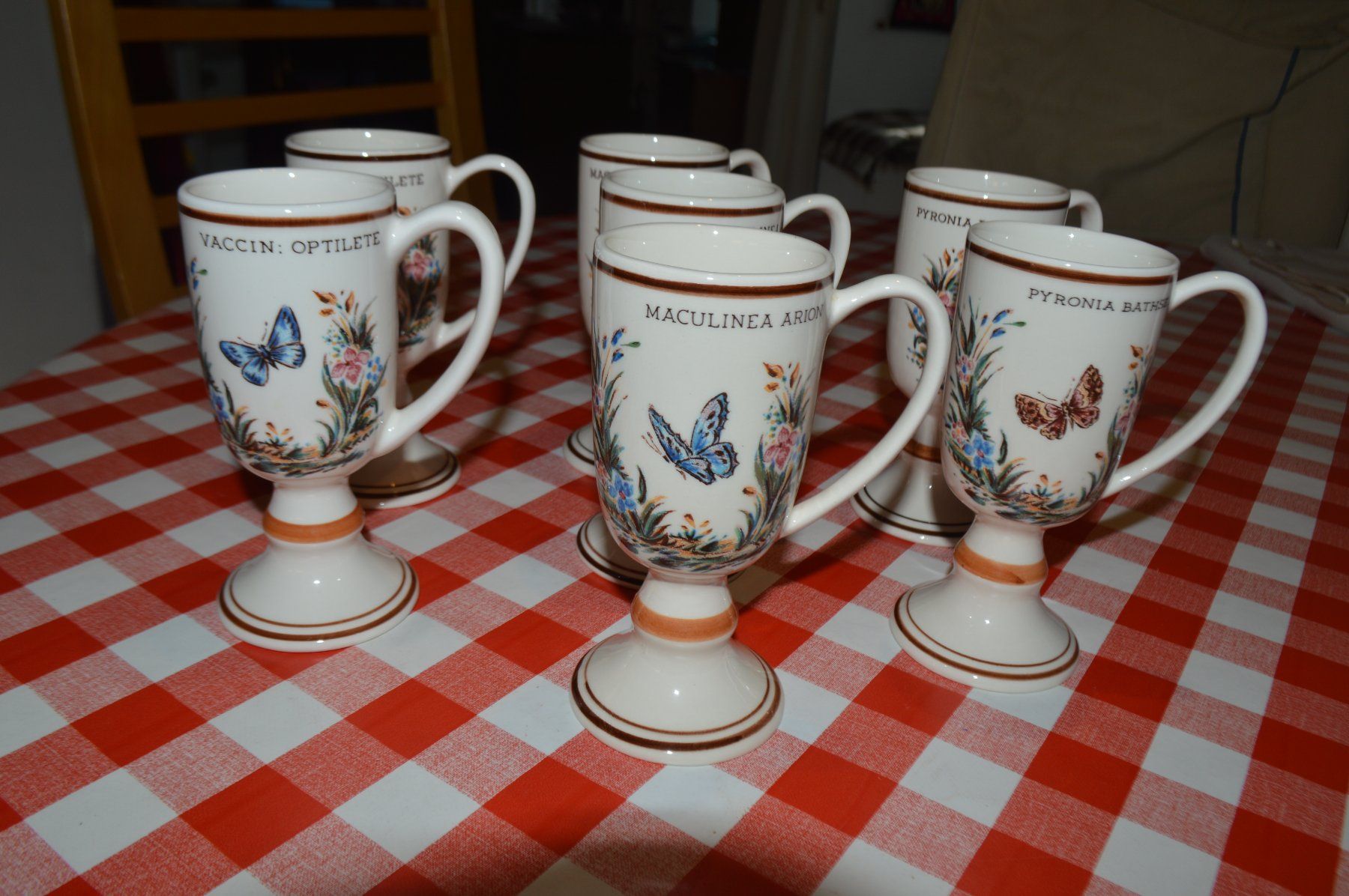 Set di piatti: servizio da caffè e/o te – Nuovo (secondo la descrizione) da Brione s. Minusio venduto da clk_8kjj 6