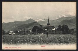 Aeschi, Ortspanorama von einer Wiese aus