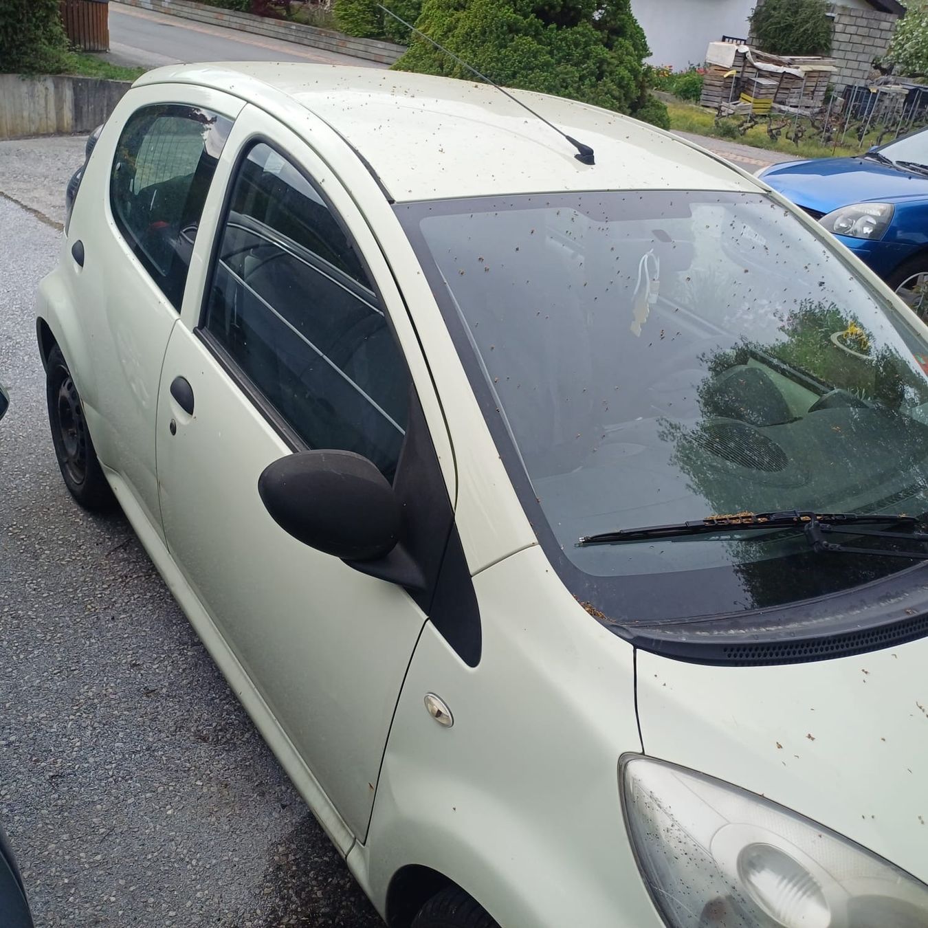 Citroën Autos: Citroen C1, 2010, super mécanique – Gebraucht aus Renens VD von sba_5ssb 6