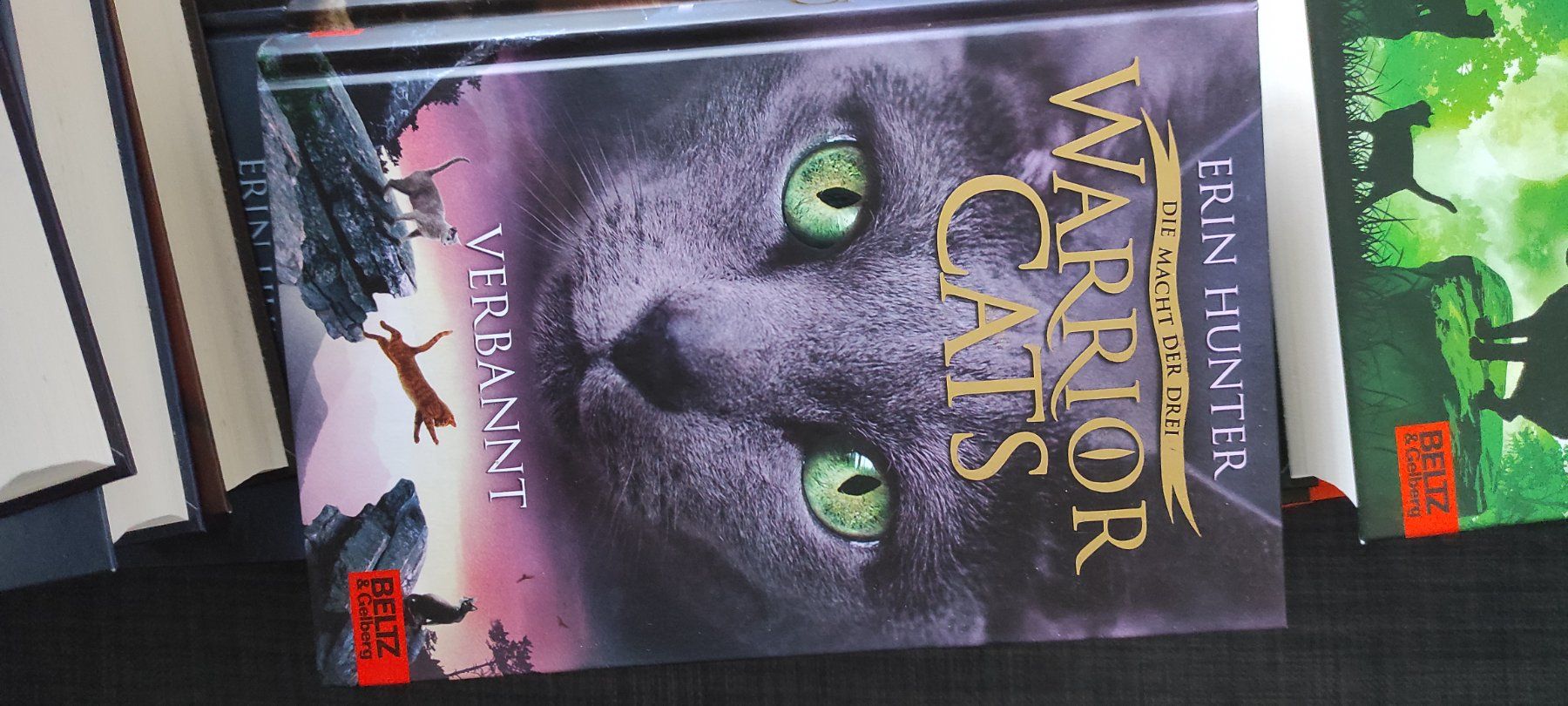 Libri: Warrior Cats, Staffel 3, 6 Bücher – Usato da Bassersdorf venduto da lar_9p6m 3