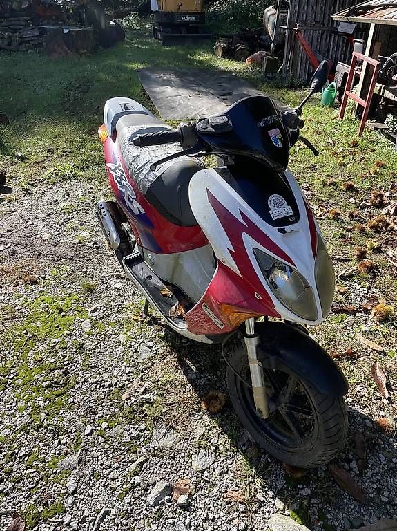 Scooter: Honda x8rs – Usato da Biasca venduto da dam_v27g