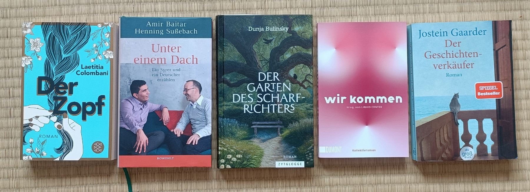 Livres: 5 Romane, verschiedene Autoren und Themen – D'occasion à Oberburg par KunstunterDach