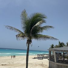 Profile image of vamos_120