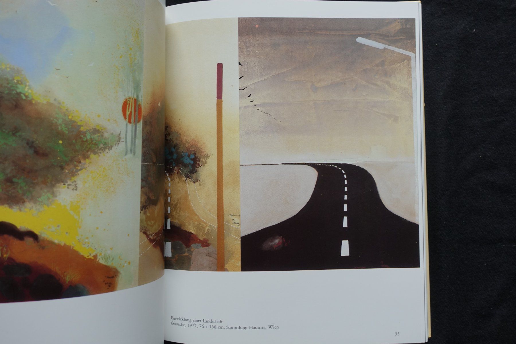 Libri: Adi Holzer, 1986, Galerie Carinthia – Usato da Gutenswil venduto da Optico 6