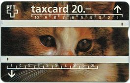 Taxcard P-55 (S055.a) 625A Katze