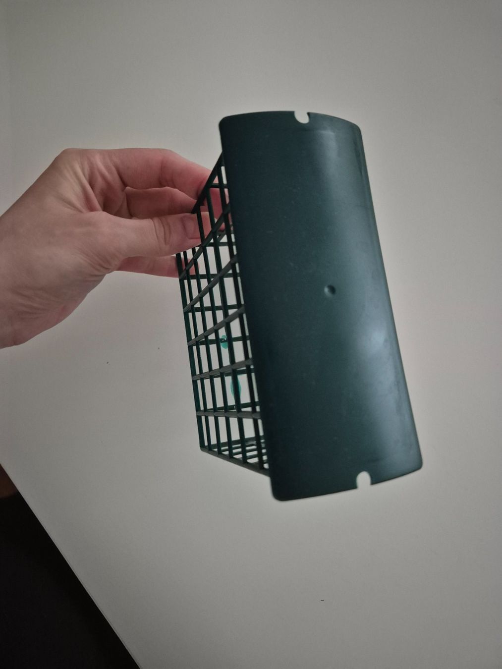 Futter: Vogel Vogelfutter Spender / Feeder – Gebraucht aus Zürich von pau_y8mv 4