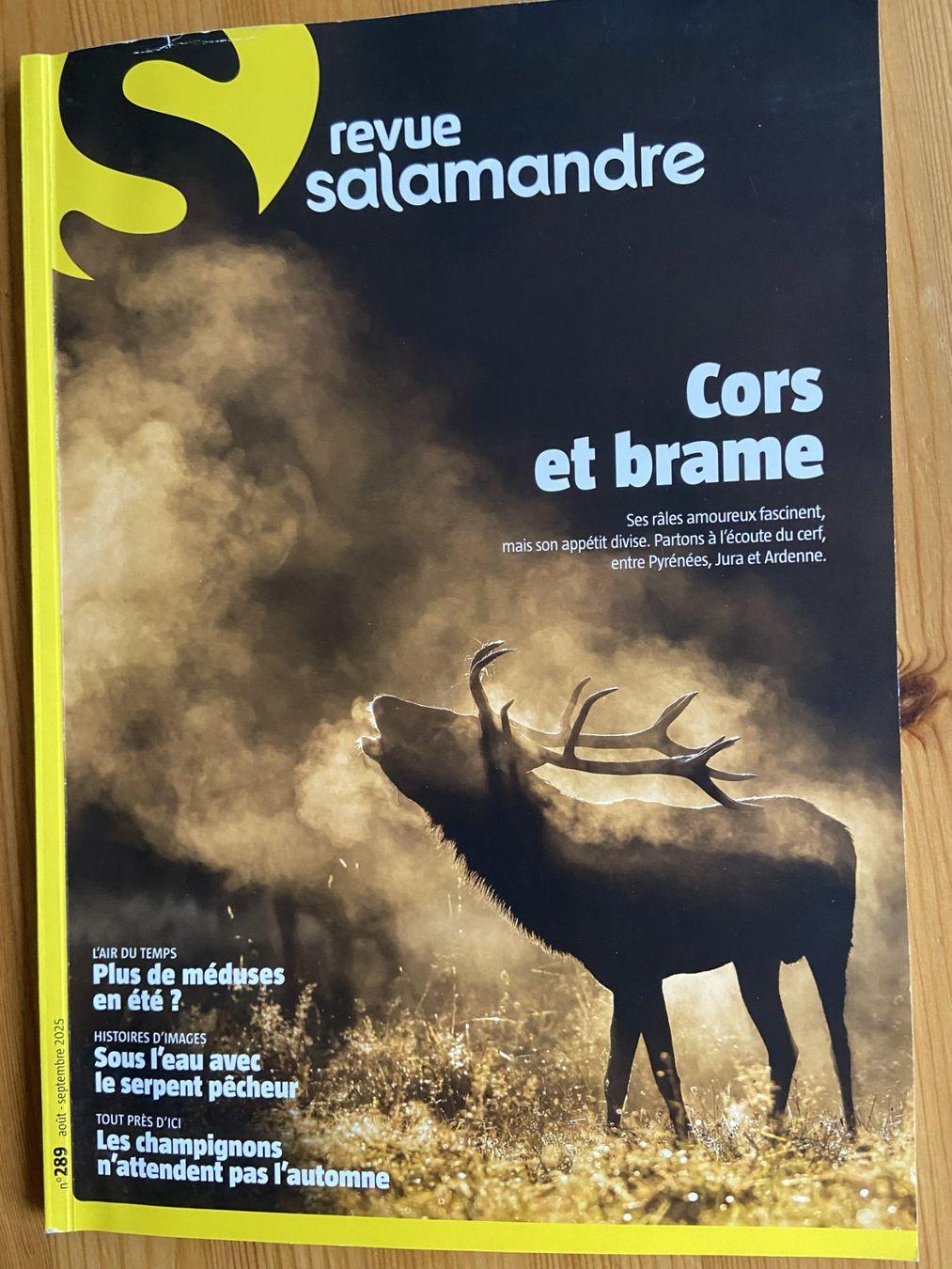 Riviste & Magazine: Revue Salamandre : Collection complète printemps en nature! – Nuovo (secondo la descrizione) da Neuchâtel venduto da marevecor 4